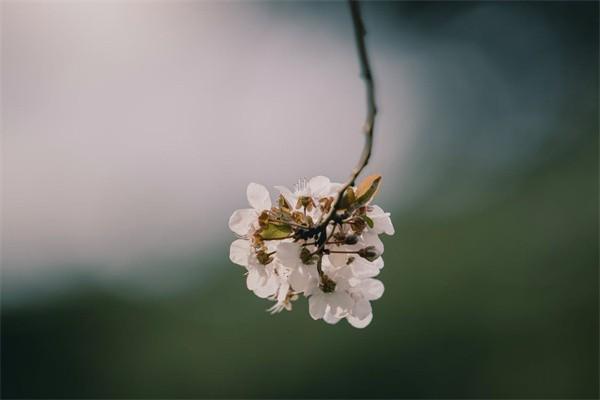 保險(xiǎn)出險(xiǎn)賠付后可以退保嗎？賠付的流程有哪些？