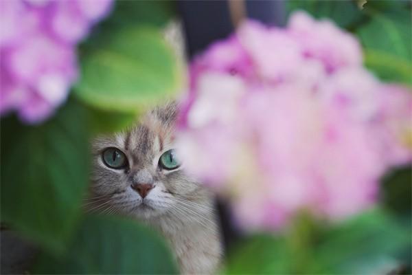 國網(wǎng)英大保險(xiǎn)怎么樣？靠譜嗎？