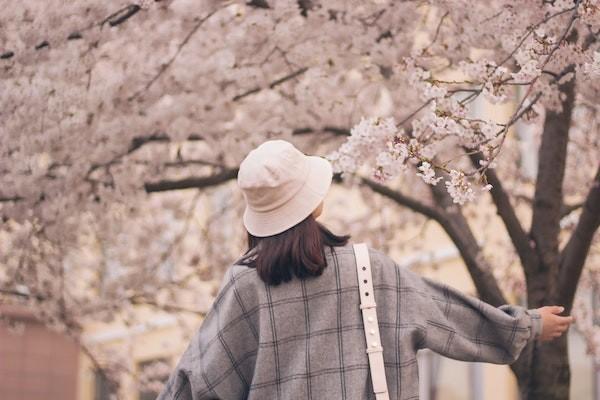 國壽個人養(yǎng)老金保險99版怎么樣？條款內(nèi)容是什么？