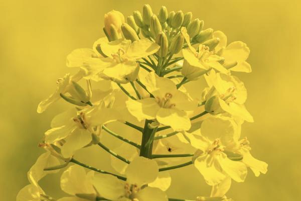 剛買了保險就生病了能報銷嗎？能報銷哪些費(fèi)用？