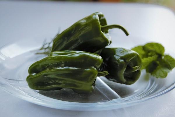 餐飲員工意外險一年多少錢？保障范圍是什么？