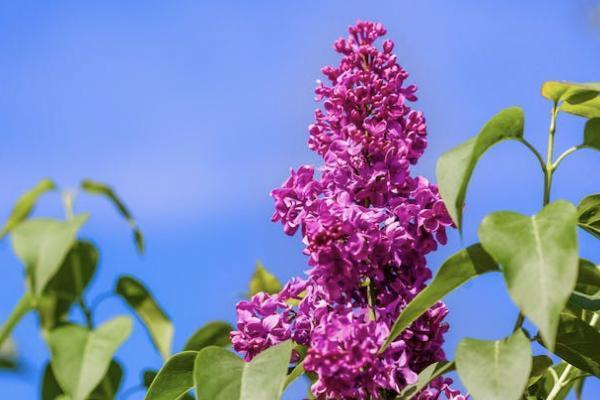 藍醫(yī)保和醫(yī)享無憂有什么區(qū)別？值得買嗎？