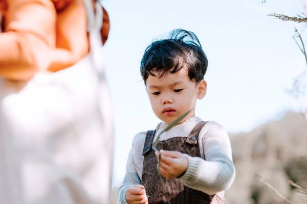 人壽保險保單丟了可以退保嗎？怎么退保？