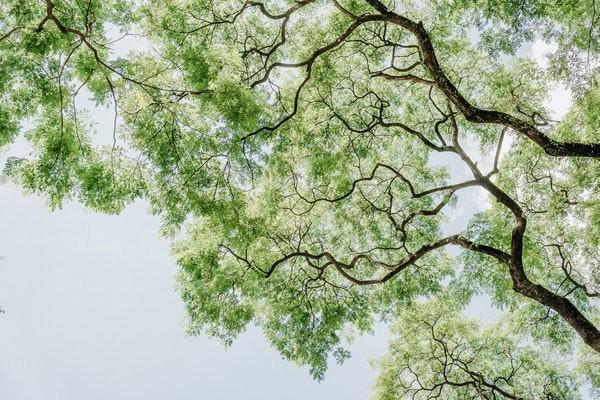 大病保險的起付線是多少？是什么意思？