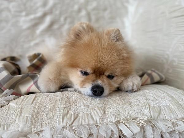 得了睡眠障礙能買(mǎi)保險(xiǎn)嗎？怎么買(mǎi)？