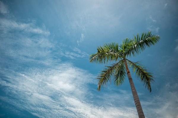 太平洋金佑人生2017b款想退保能退多少？怎么退呢？