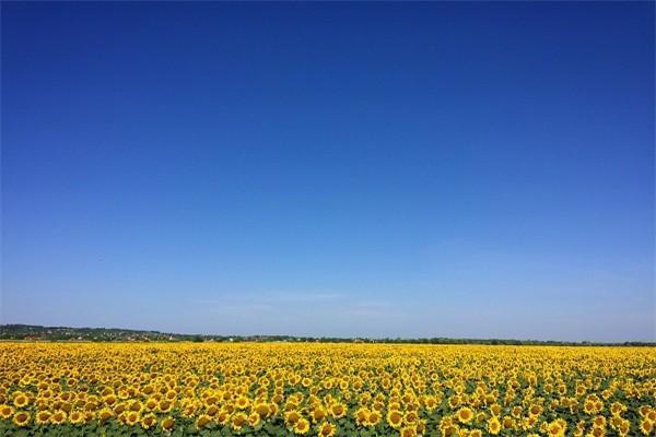 太平保險商業(yè)險怎么退保？退保能退多少錢？