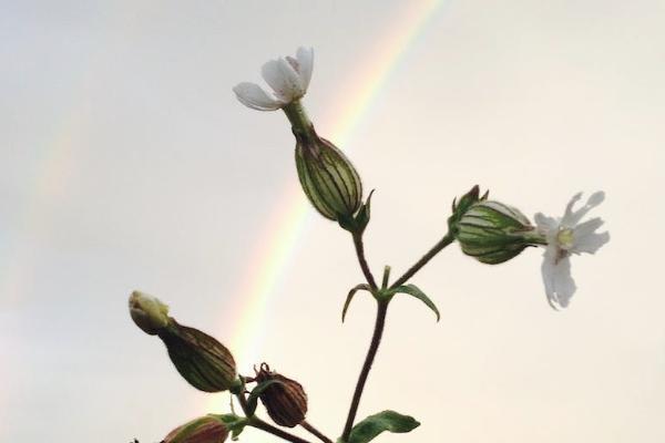孝順保中老年醫(yī)療險投保規(guī)則有哪些？值得買嗎？