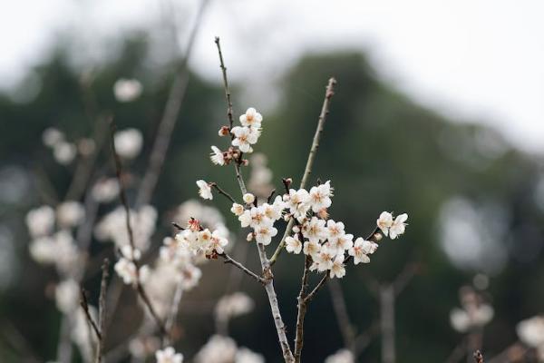 孝無憂特定疾病醫(yī)療保險(xiǎn)怎么樣？有什么優(yōu)點(diǎn)？