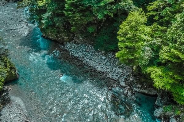 財(cái)信人壽退保流程是怎樣的？能退多少錢？
