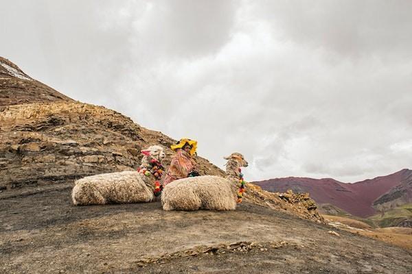好醫(yī)保精神疾病可以理賠嗎？怎么理賠？