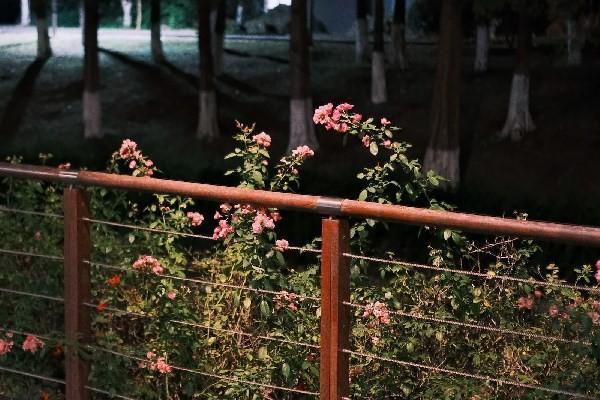 太平洋保險電話退保怎么操作？退保材料是什么？