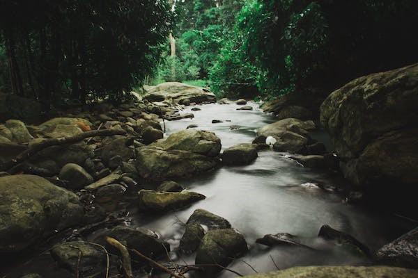 中國人?？梢跃W(wǎng)上退保嗎？網(wǎng)上退保流程是什么？
