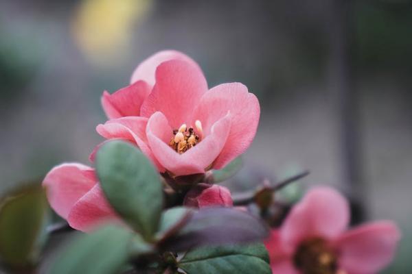 遼寧醫(yī)療保險怎么交？一年交多少錢？