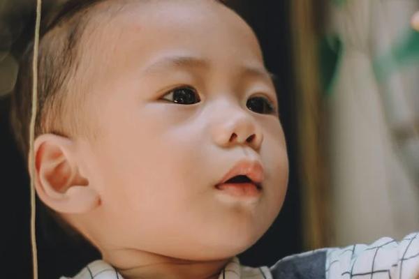 太平洋保險交了6年想退保怎么辦？可以退多少錢？