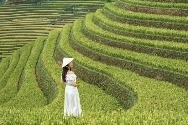 保險(xiǎn)理賠賠給投保人還是被保險(xiǎn)人