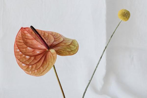 北京社保退保手續(xù)怎么辦理？一年多少錢(qián)？