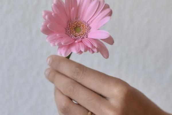 平安好生活如何退保？能退多少錢？