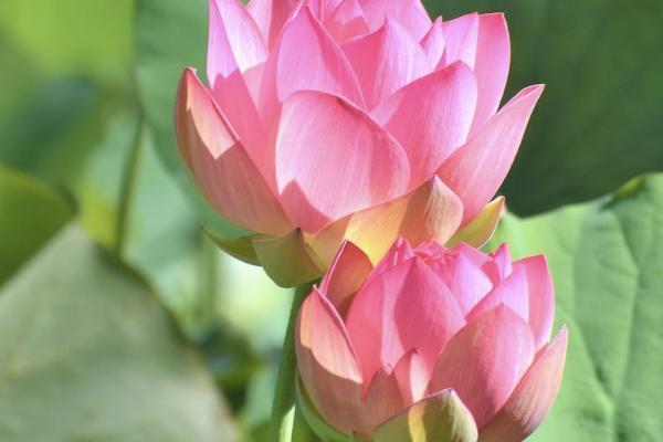幸福人壽保險公司可靠嗎？正規(guī)嗎？