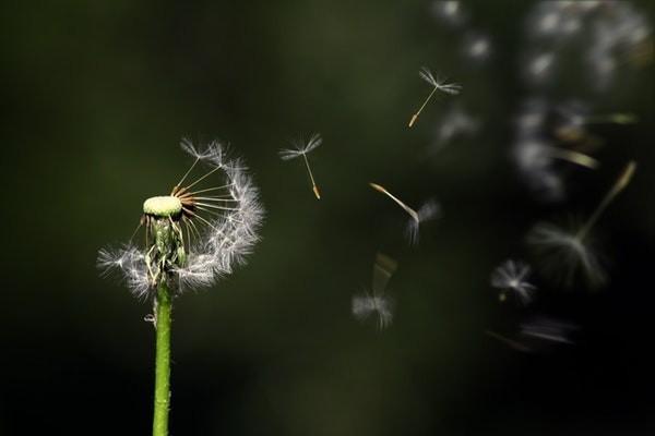 返還型保險退保能退回多少錢？退保的流程有哪些？