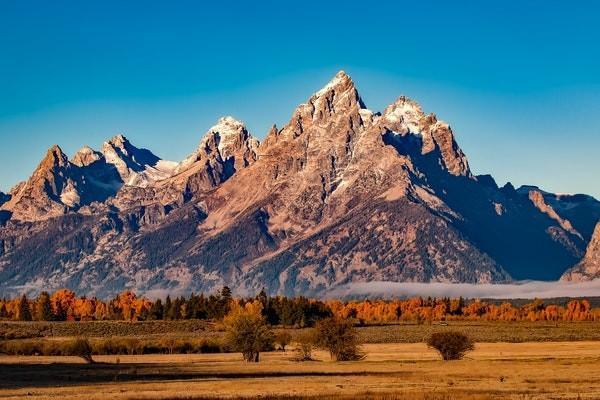 太平洋金享人生終身壽險分紅型退保劃算嗎？有哪些流程？