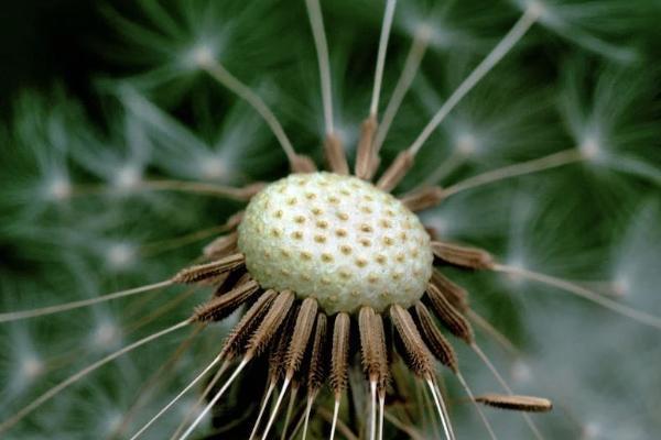 個人繳納社保包含哪幾種保險(xiǎn)？多少錢？