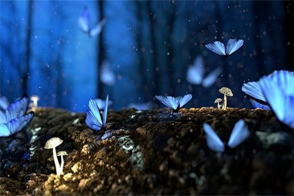 香港保險(xiǎn)只能用港幣支付嗎？怎么買(mǎi)？