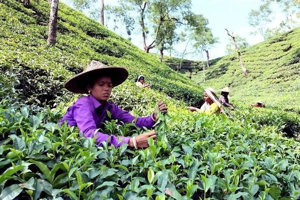 醫(yī)療保險的錢可以退嗎？保障有哪些？