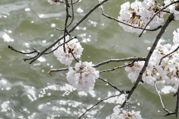 臻享一生終身壽險(xiǎn)好嗎？有哪些保障內(nèi)容？