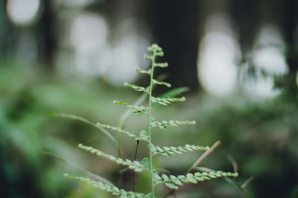 國泰產(chǎn)險孝順保中老年醫(yī)療險適合誰買？一年價格多少？