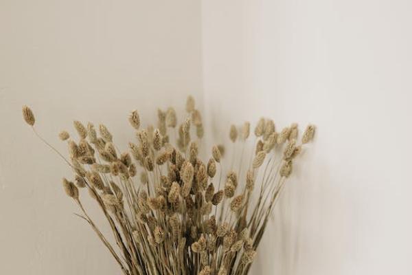 太平洋少兒超能保等待期多久？購(gòu)買(mǎi)渠道有哪些？