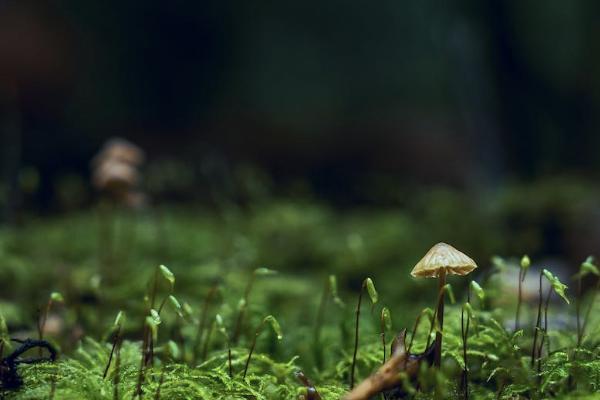 保險不給退錢怎么辦？怎樣退最劃算？