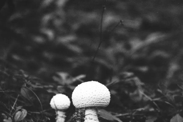 返還型保險能不能退？退保劃算嗎？