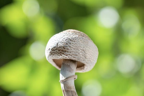 保險(xiǎn)公司多賠了錢(qián)給我要退嗎？理賠多久到賬？