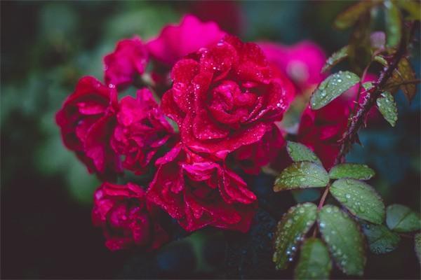 保險(xiǎn)公司貸款靠譜嗎？貸款利息是多少？