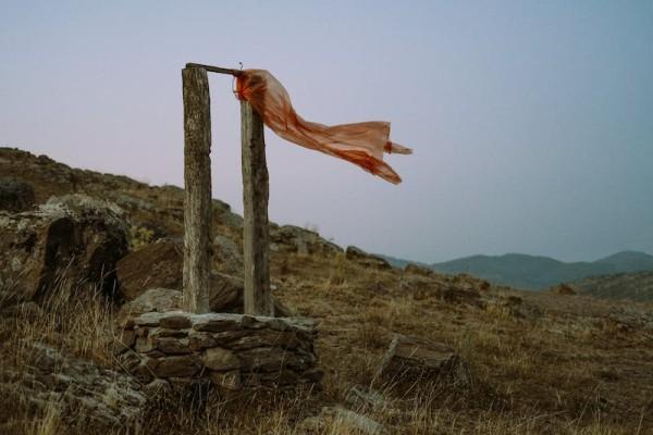 太平康頤金生b款終身壽險(xiǎn)分紅型怎么樣？保障什么？