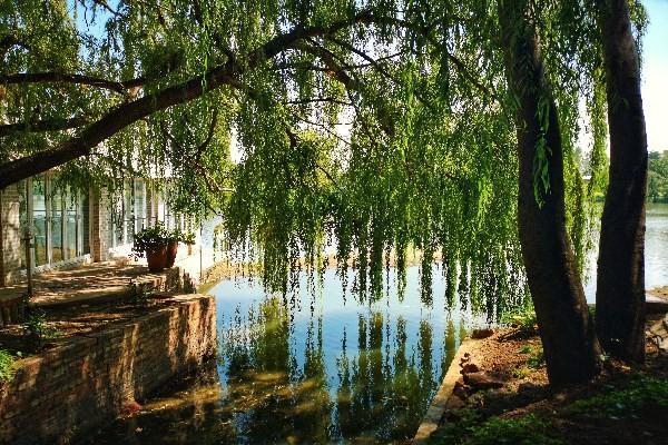 保險(xiǎn)到期了還能理賠嗎？理賠需要哪些材料？