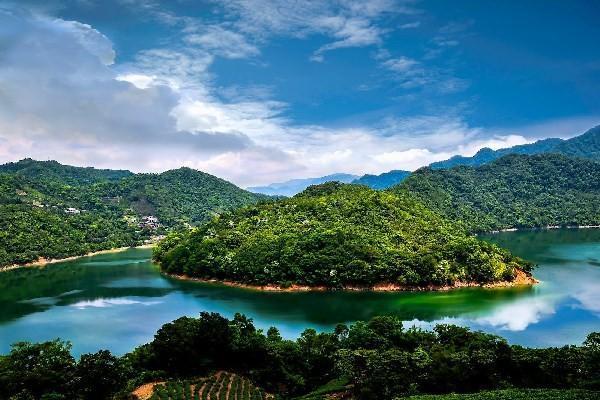 什么是續(xù)期保費(fèi)退費(fèi)？能退多少錢？