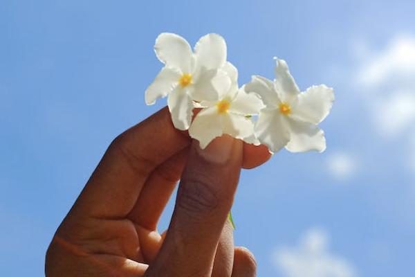 養(yǎng)老保險(xiǎn)是一年交一次嗎？一年交多少錢？