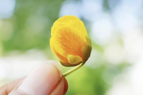 保險公司怎么知道投保人是否健康？理賠條件是什么？
