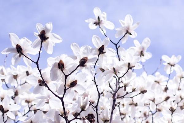 農(nóng)村醫(yī)療保險(xiǎn)和職工醫(yī)療保險(xiǎn)沖突嗎？有什么區(qū)別？