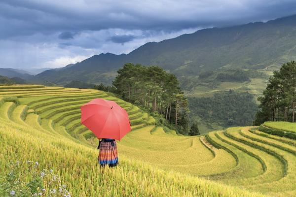 無錫補(bǔ)充醫(yī)療保險報銷范圍是多少？怎么用？