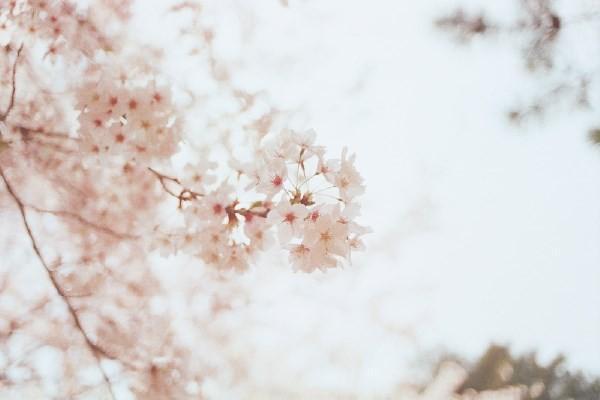 住院醫(yī)保報(bào)銷后人壽保險(xiǎn)還能報(bào)銷嗎？怎么報(bào)銷？