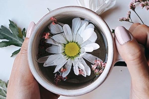 華泰保險e家保燃氣綜合保險范圍有哪些？多少錢？