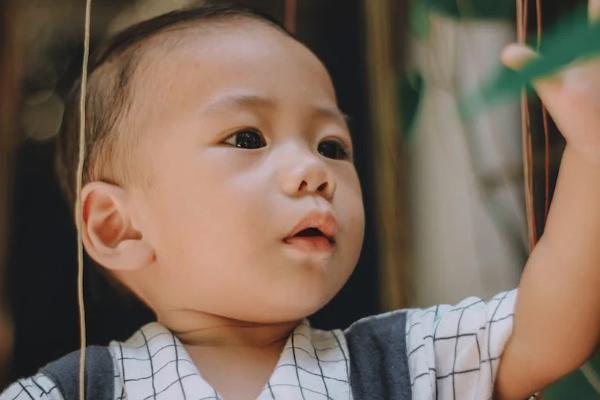 中郵退保自己的本金給嗎？去哪里退保？