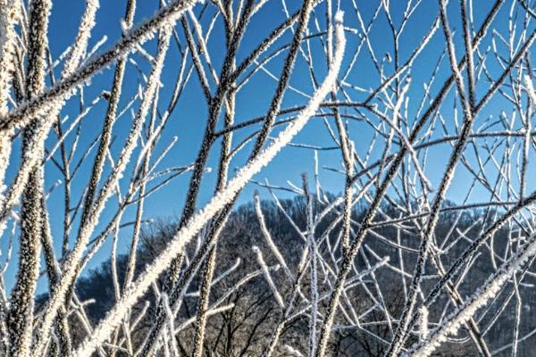 用商業(yè)險出險漲保費(fèi)嗎？保費(fèi)怎么算？