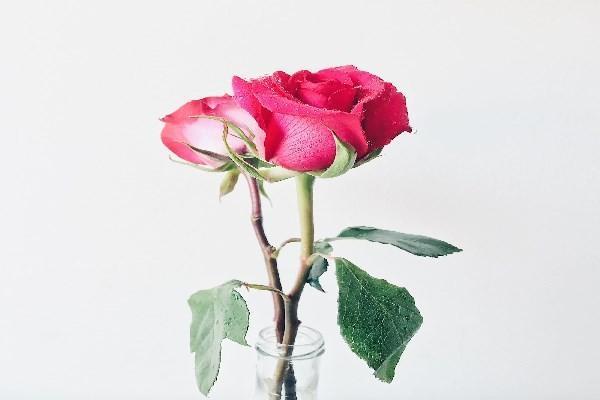 友邦保險(xiǎn)買了幾年能退多少？退保進(jìn)度怎么查詢？