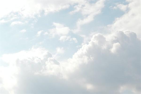 人壽保險滿期交了20年退保怎么退？退多少錢？