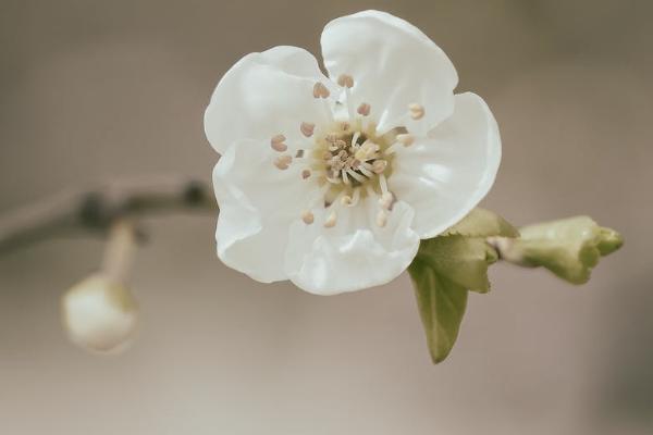 單位交商業(yè)保險是什么意思？有什么好處？