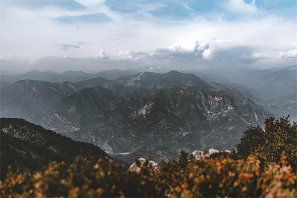 商業(yè)險未生效退保再買可以嗎，怎么退